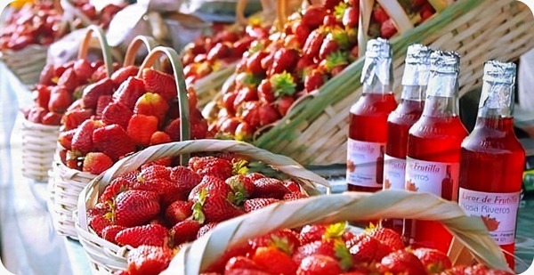 Expo frutilla de Areguá no se suspende, aclaran