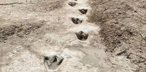 Sequía en EEUU deja al descubierto huellas de dinosaurios