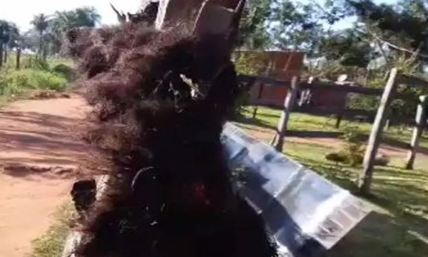 Gran lío entre vecinos dejaron colgado a un perro muerto por su portón - OviedoPress