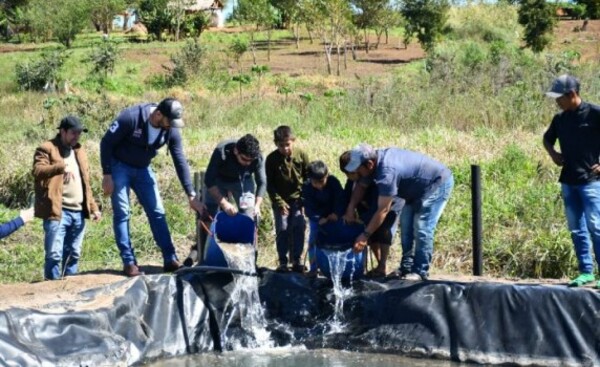 Pretenden donar 3000 peces para estanques a familias carenciadas