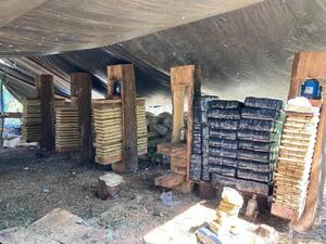 Senad destruye más de 5,5 toneladas en el Parque Nacional San Rafael - .::Agencia IP::.