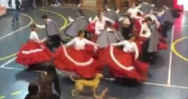 La Nación / “El mejor amigo del hombre” hizo de las suyas, celebró el Día del Folklore bailando de colado