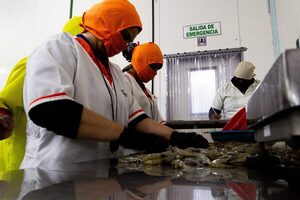 Gobierno y empresas de Venezuela buscan una "oferta real" de exportación - MarketData