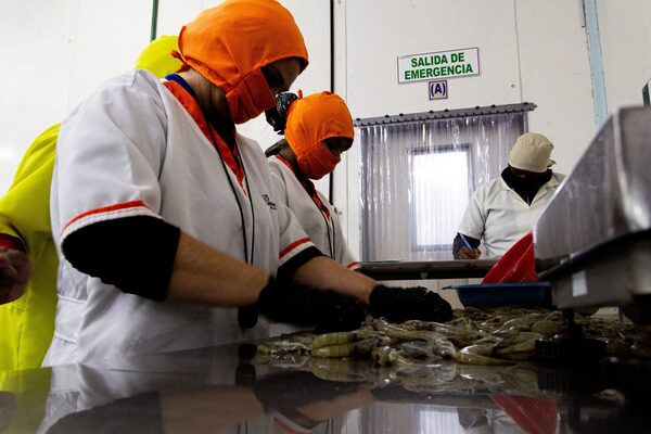 Gobierno y empresas de Venezuela buscan una "oferta real" de exportación - MarketData