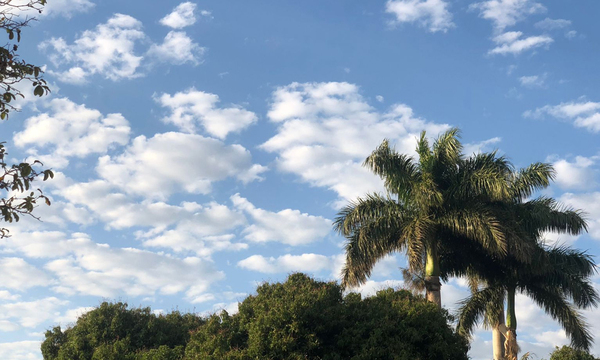 Jueves 25 de agosto con altas temperaturas hasta el sábado - OviedoPress