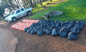 Incautan 1200 kilos de cebollas y tomates ingresados de contrabando