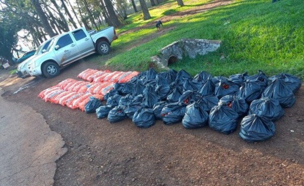Incautan 1200 kilos de cebollas y tomates ingresados de contrabando