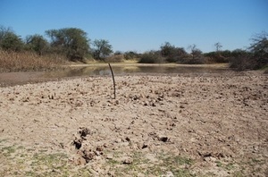 Diario HOY | Se declara emergencia por la sequía en el Chaco