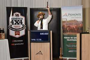 El sábado, Piemonte remata toros y vaquillas élite de Genética 4×4