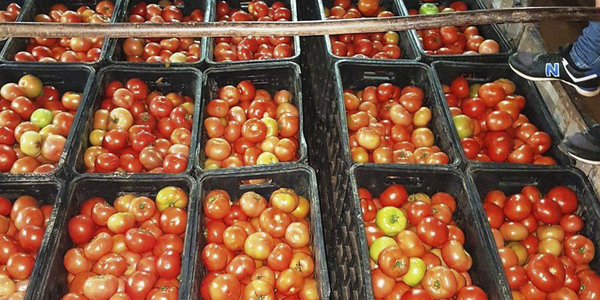 SEGÚN EL SIMA, LOS PRECIOS DE TOMATE Y CEBOLLA SE DUPLICAN EN DOS MESES
