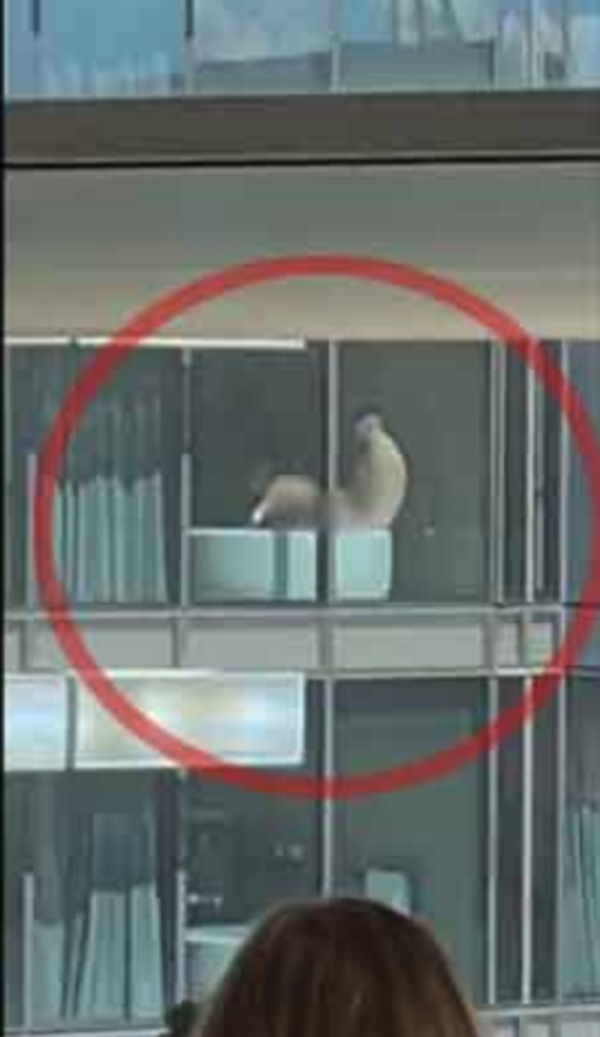 ¡Famosa escandalizada porque uno de sus hijos vio una escena de sexo desde el colegio!