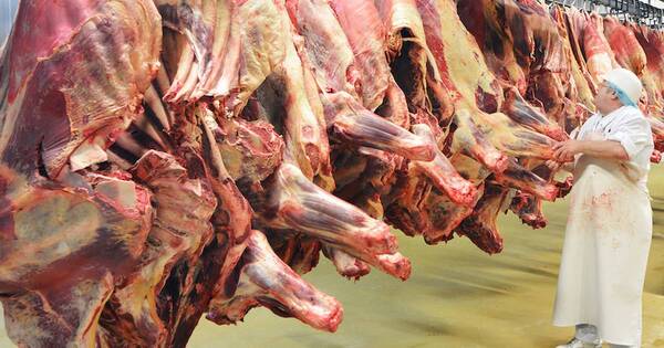 La Nación / Importación de carne paraguaya en Chile se resintió en los últimos meses
