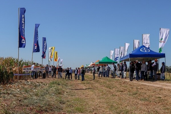 Arrancará la Quinta Jornada de Producción Sostenible de Cultivos de Verano en el Chaco