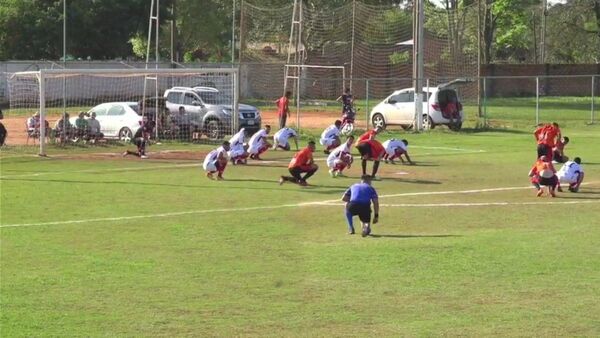 Avispas invadieron cancha y obligaron a parar partido de fútbol