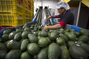 Alianza entre México y EE.UU. promete alimentos seguros para Norteamérica - MarketData