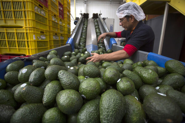 Alianza entre México y EE.UU. promete alimentos seguros para Norteamérica - MarketData