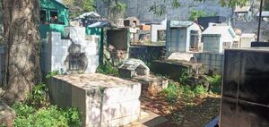 Cuestionan falta de limpieza e inseguridad en cementerio franqueño - ABC en el Este - ABC Color