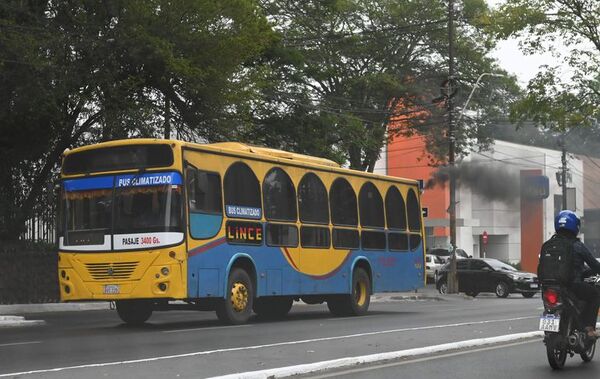 Transportistas piden más subsidios para alzar a personas con discapacidad - Economía - ABC Color