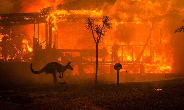 Diario HOY | Los incendios del "verano negro" australiano afectaron la capa de ozono, dice estudio