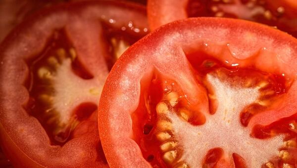 Por el lado de los tomates aseguran producción de 6 millones de kg/mes (cubrirían demanda hasta fin de año)