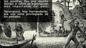 REALIZARÁN EL FESTIVAL DE LOS YERBALES, EN HERNANDARIAS