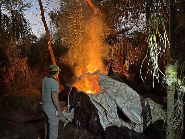 Ofensiva antinarco saca de circulación un gran cargamento de marihuana en Amambay - Nacionales - ABC Color