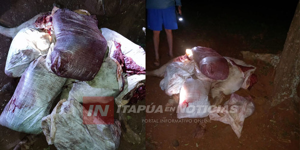 TRAS UN NUEVO HECHO DE ABIGEATO RECUPERARON PARTE DE LA CARNE