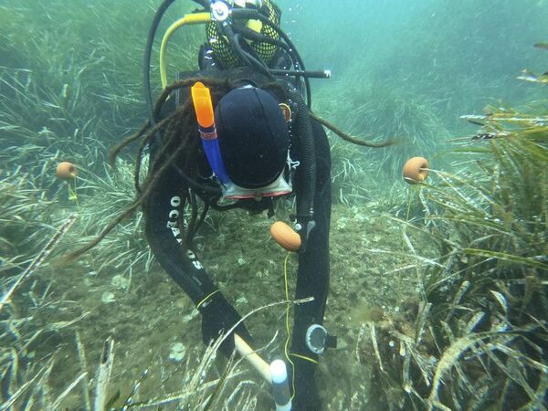 Expertos piden incluir la acción climática en toda la educación formal - Ciencia - ABC Color