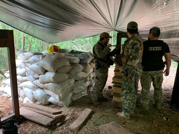 Anulan más de 6 toneladas de droga en Itapúa | 1000 Noticias