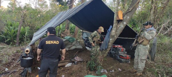 Diario HOY | Anulan campamento narco con más de 3,4 toneladas de marihuana en Canindeyú