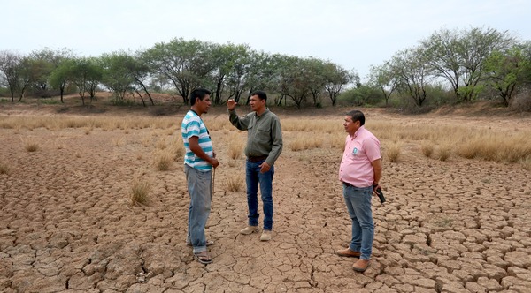 Instituciones gubernamentales se enfocan en el mantenimiento de tajamares en el Chaco