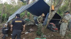 Anulan campamento narco con más de 3,4 toneladas de marihuana en Canindeyú