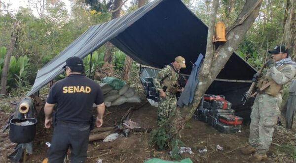 Anulan campamento narco con más de 3,4 toneladas de marihuana en Canindeyú