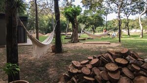 Eucaliptos engalanan la estadía en Estanzuela Eco Lodge | Turismo | 5Días