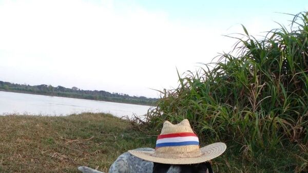 Hacen sesión de fotos a Chuco, el "paraguayito" más famoso de Humaitá