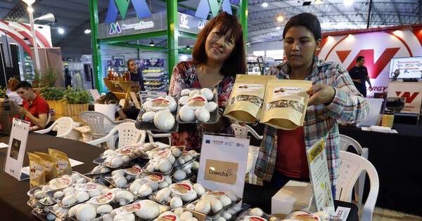 La Nación / Más de 1.200 mipymes precisan ahora refinanciar sus créditos