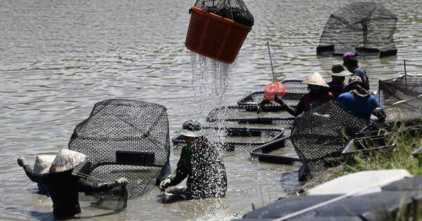 La Nación / Pescadores y agricultores sienten sanciones chinas