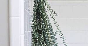 La Nación / Colgá un ramo de eucalipto en la ducha