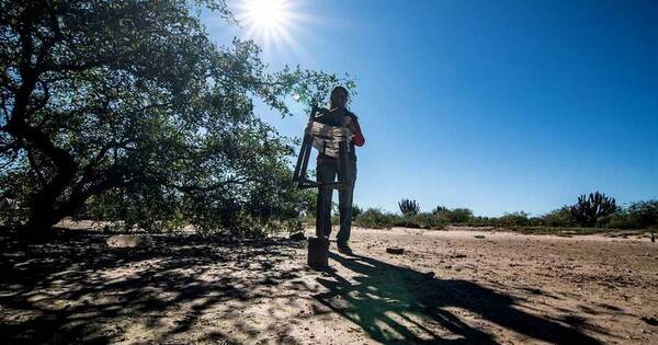 La Nación / Sequía a niveles extremos se agrava en el Chaco
