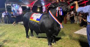 La Nación / Calidad ganadera: Destacan la venta récord del toro King George