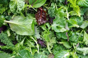 Día Internacional de la comida cruda: las mejores hojas verdes para ensalada - Gastronomía - ABC Color