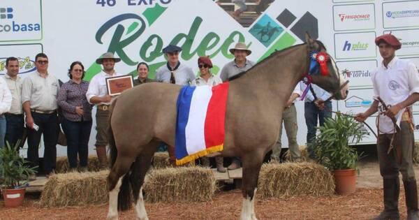La Nación / Ganadera Chajha obtuvo tres premios en competencia morfológica de caballos