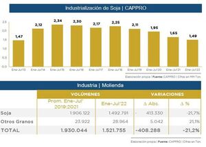 Industria aceitera: capacidad ociosa sube a 45% porque resta poca soja - Nacionales - ABC Color