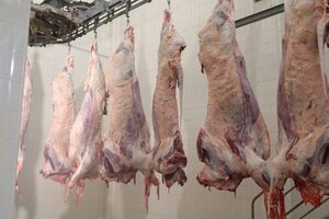 EE.UU. pidió “no arriesgar fechas” para la apertura de la carne paraguaya