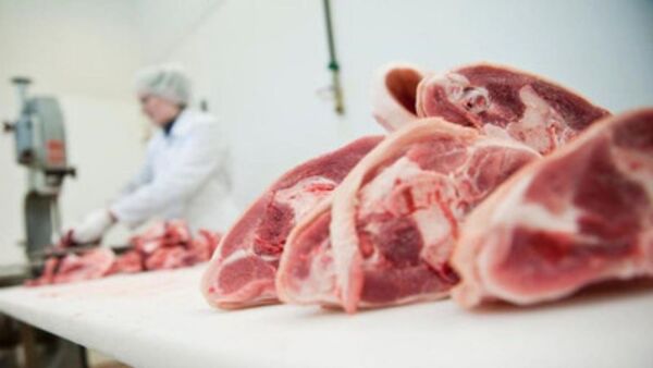 El sector porcino busca expandir sus exportaciones a través del Foro Invest | Análisis Macro | 5Días