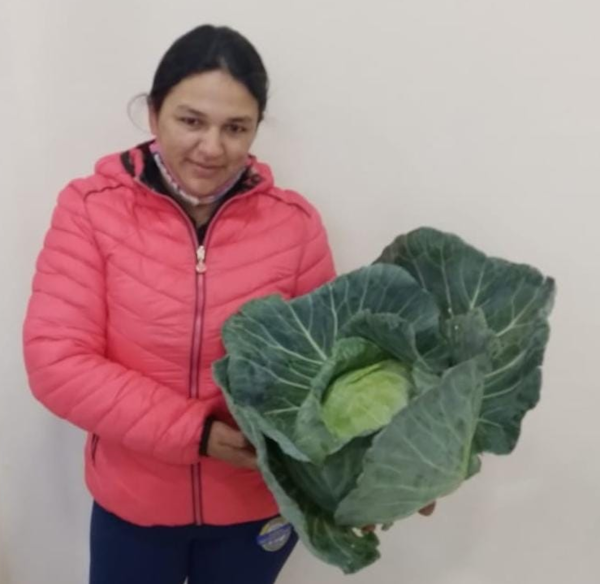 Emprendedora se posiciona en el rubro del cultivo y venta del repollo por medio del apoyo del CAH - .::Agencia IP::.