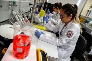 Brasil reduce en un 28,5 % la creación de empleos formales en julio - Mundo - ABC Color