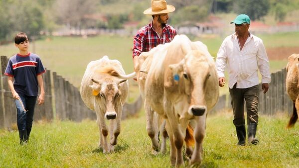 Primera etapa del Censo Agropecuario ya está en más del 70% | Agronegocios | 5Días