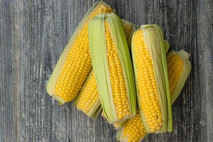 UGP: maíz y soja zafriña fueron oxígeno financiero importante para cumplir obligaciones