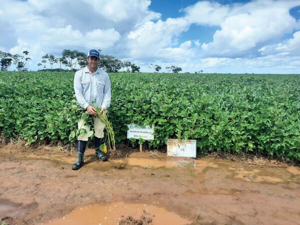 Bioestimulante: la nueva tecnología para una mejor agricultura